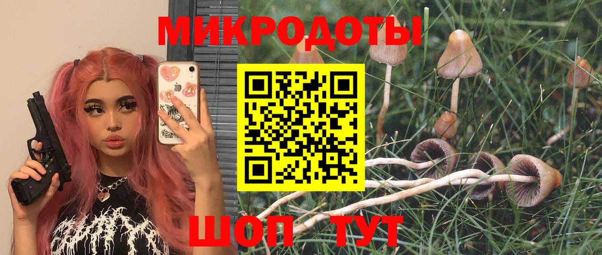 Галлюциногенные грибы мицелий Губаха