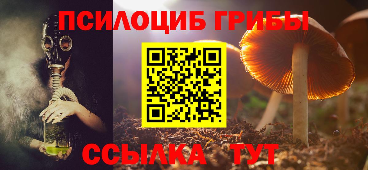 Губаха  как найти наркотики  Вход с VPN  Псилоцибиновые грибы Psilocybe 