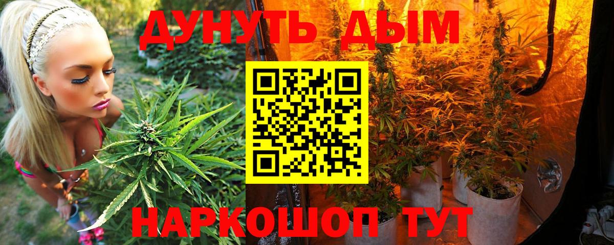 МАРИХУАНА планчик  Марихуана White Widow  Губаха  Вход с VPN  Канабис индика  МАРИХУАНА гибрид 
